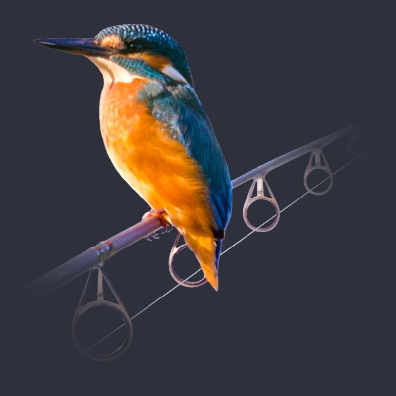 Oiseau de glace sur une canne à pêche
