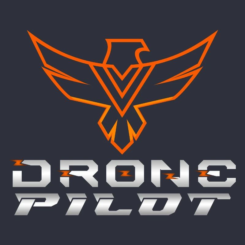 Drone Drones Drone Flight Drone Pilot