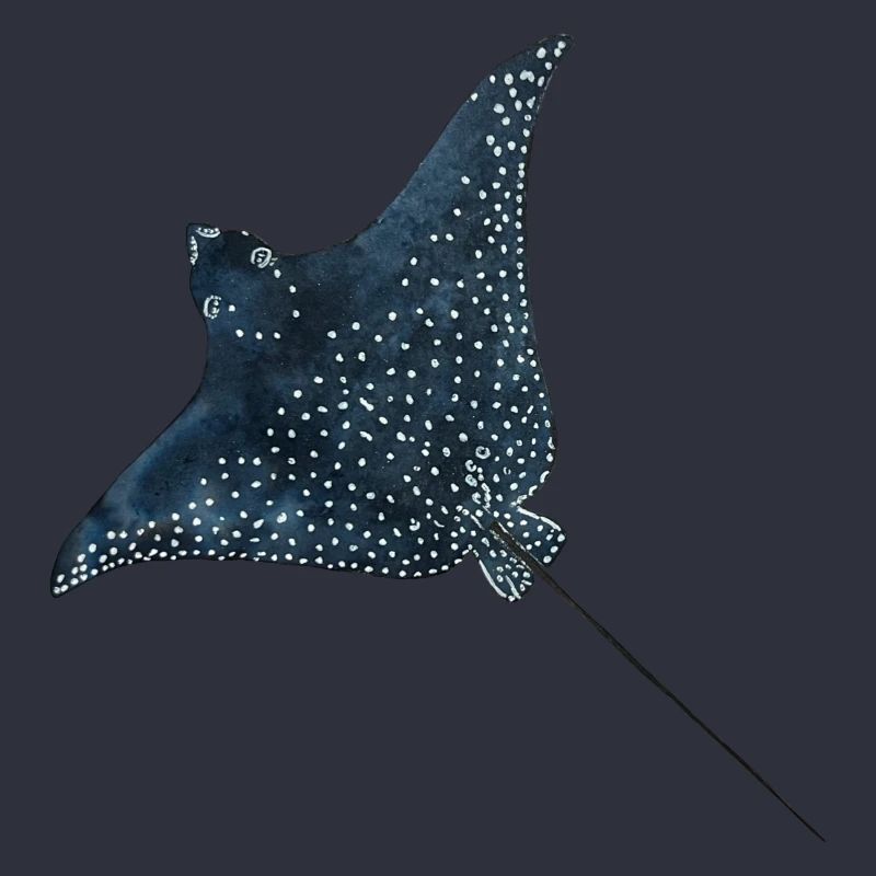 Rays Eagle Rays Stingrays Reef Diving