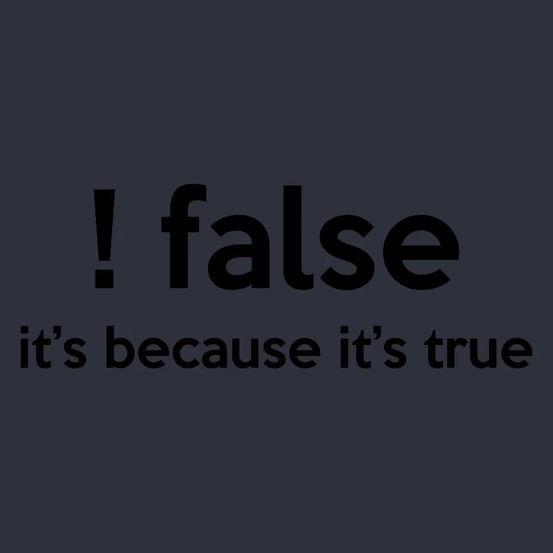 False It's Funny Because It's True Programmer Comp