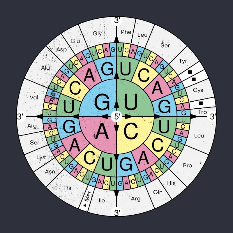 Biochemistry RNA Codon Code Sun Grunge Look