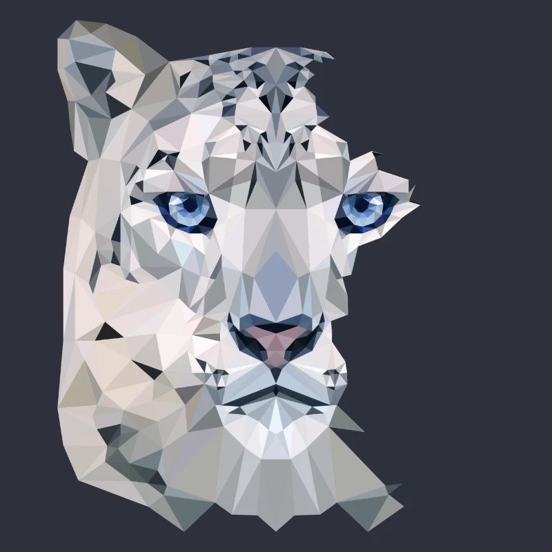 Snow Leopard Split
