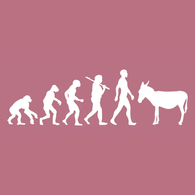 Evolution âne mule animal cadeau idée
