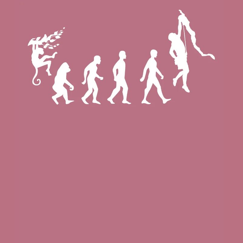Evolution du grimpeur