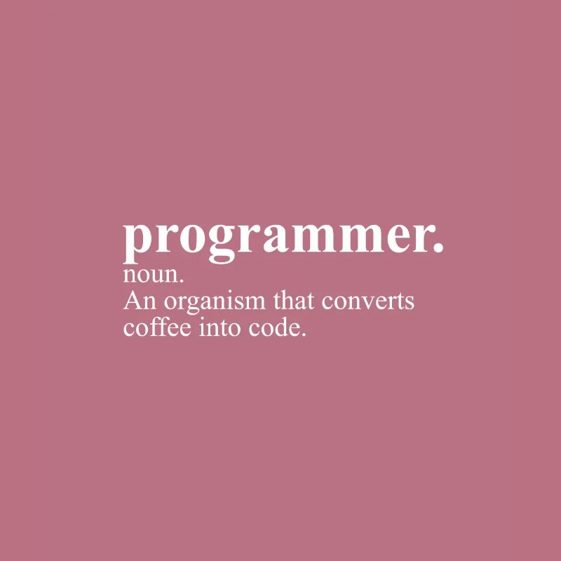Programmer Definition