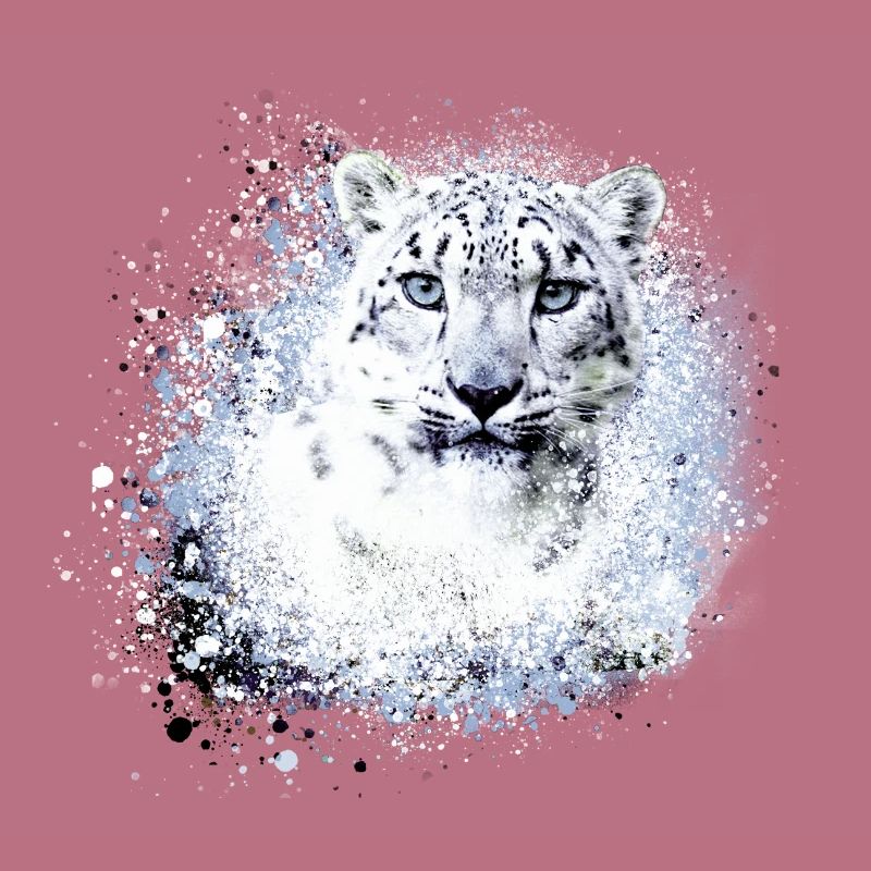 léopard de neige,chat,léopard,léopard,blanc,chat sauvage