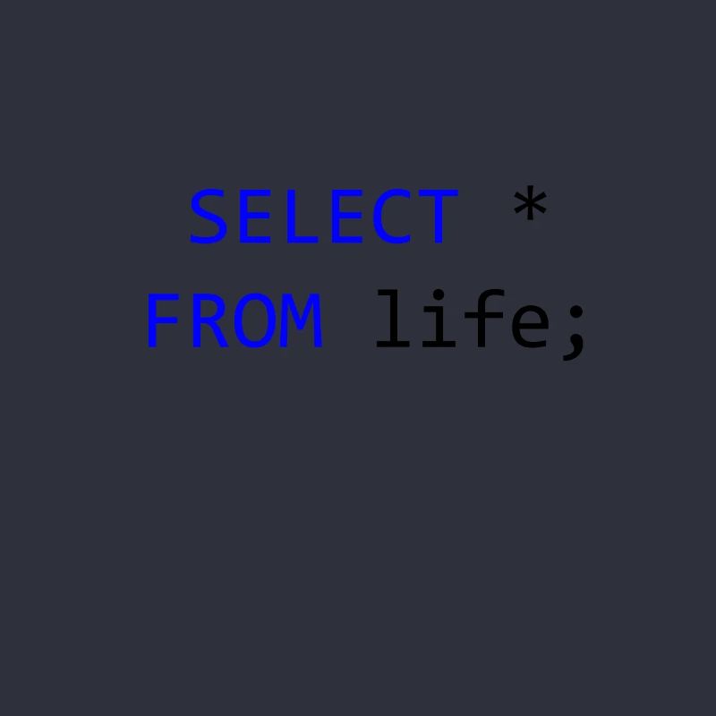 SELECT everything from life- SQL programmer gift