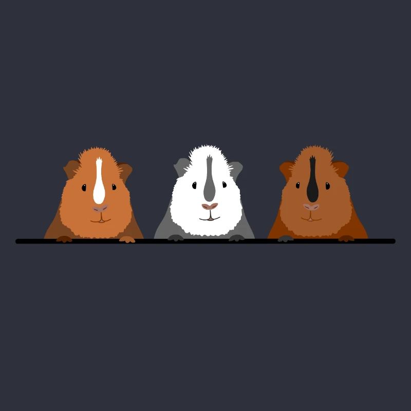Cadeau mignon de 3 cochons d'Inde