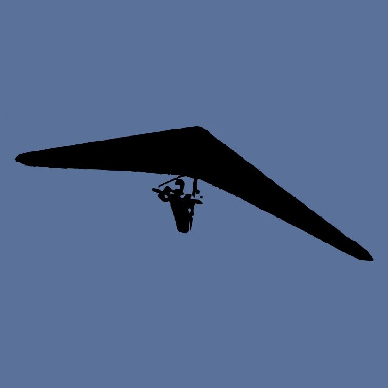 Drachenflieger