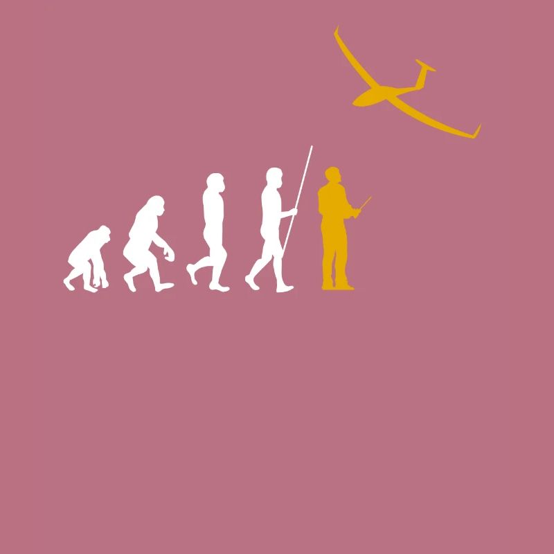 Evolution RC Planeur commandé à distance Modéliser