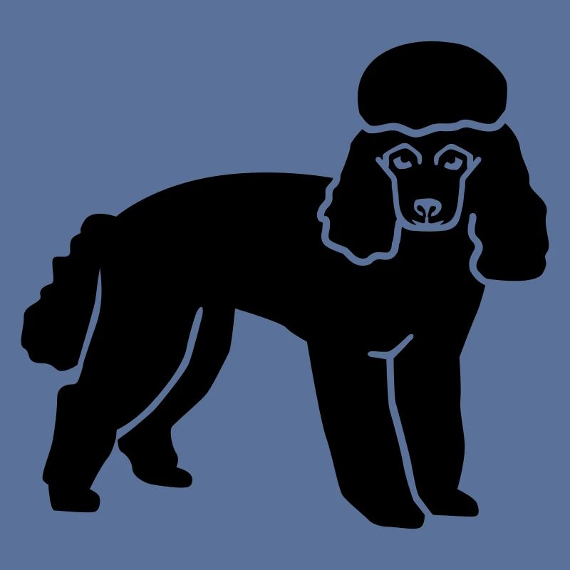 Poodle
