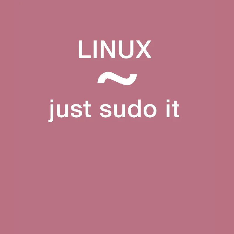 linux just sudo it Admin Programmeur pc Nerd lol