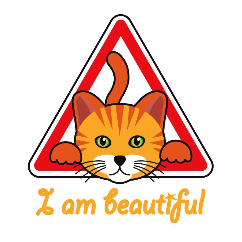 Katze - Ich bin eine wunderschöne Katze