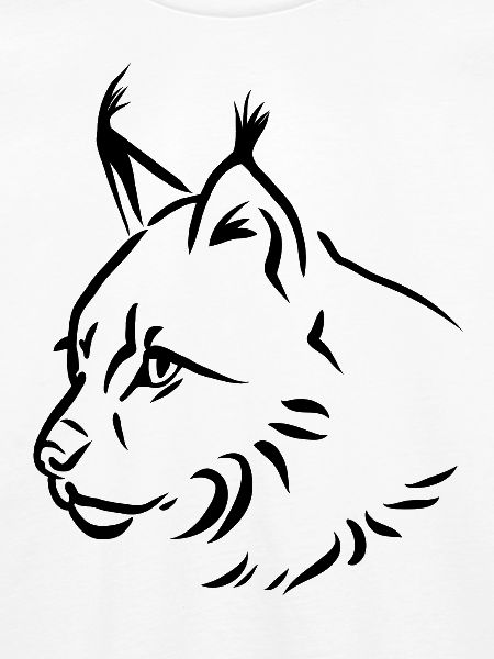Luchs