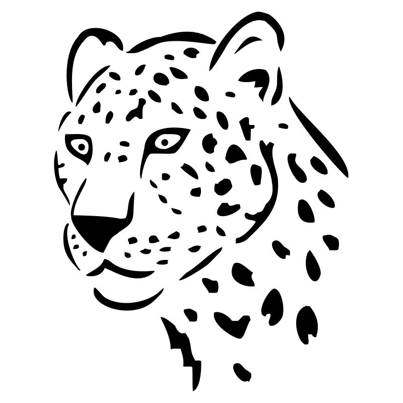 leopardo grande gatto