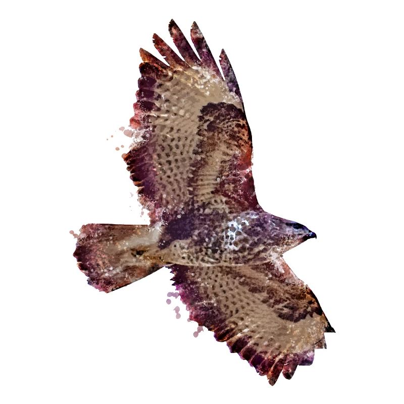 Flying buzzard in water colour technology