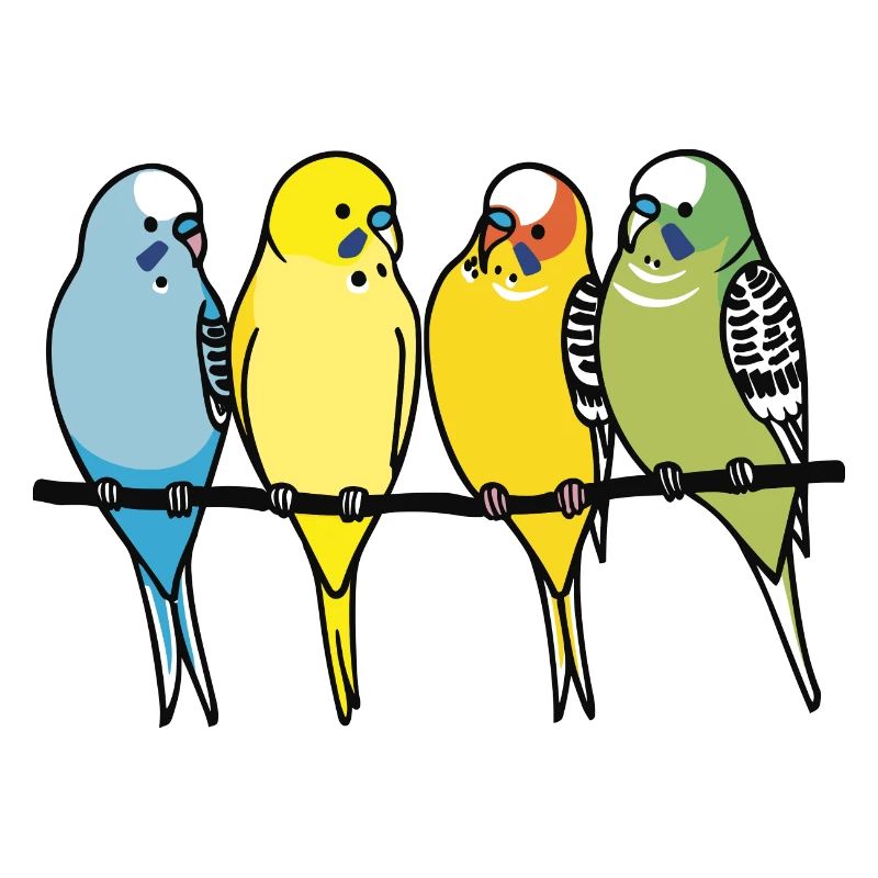 Budgie, budgies on a perch