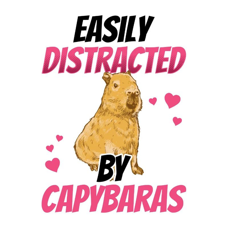 Capybara distracts South America capybara