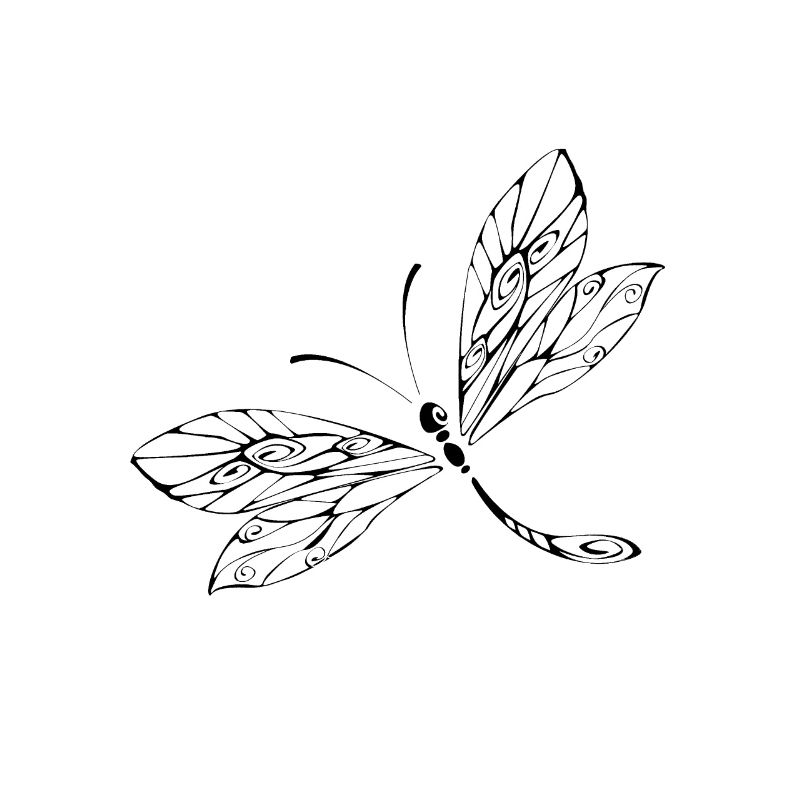 Libellule