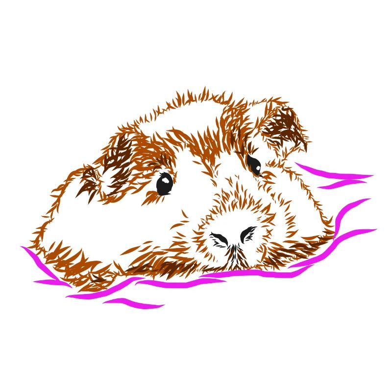 Cochon d'Inde