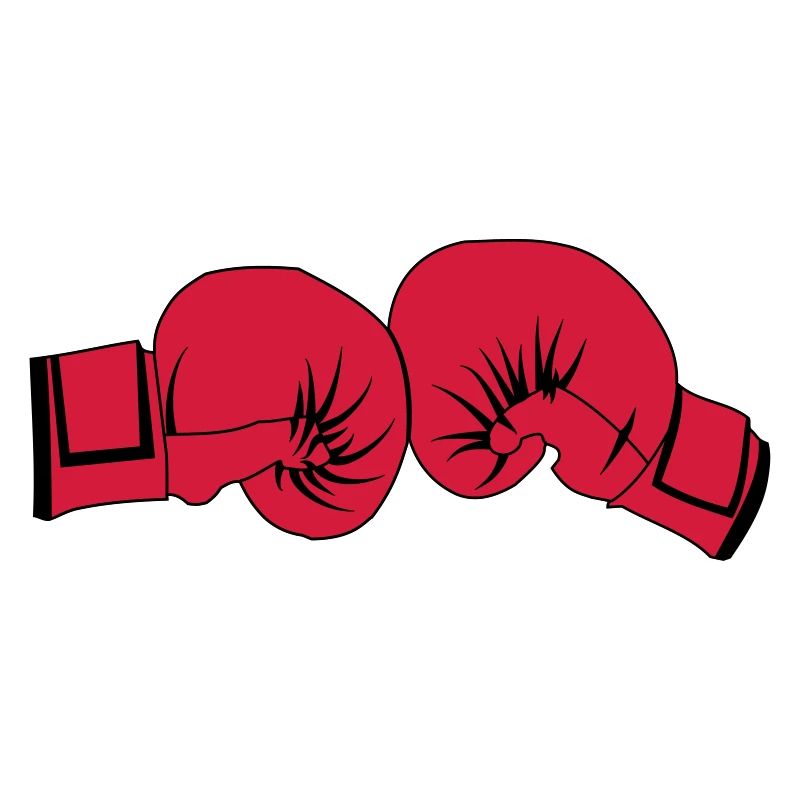 Boxhandschuhe