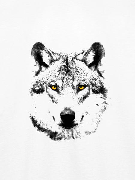 Der Wolf
