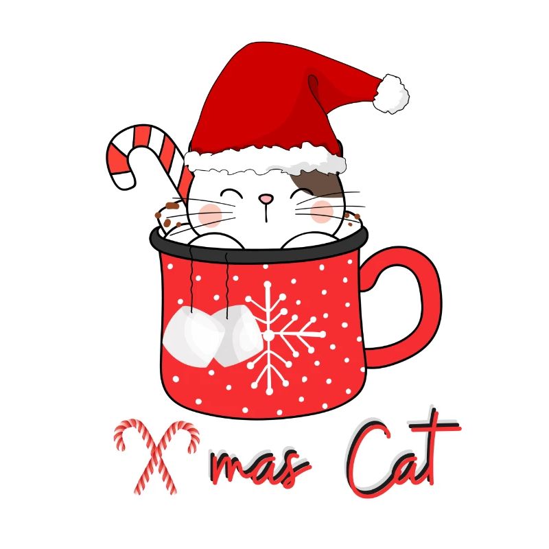 Chat de Noël