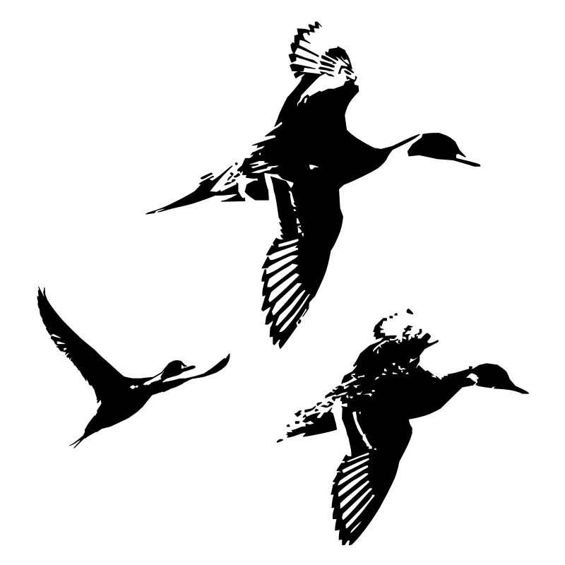 groupe canards pillet