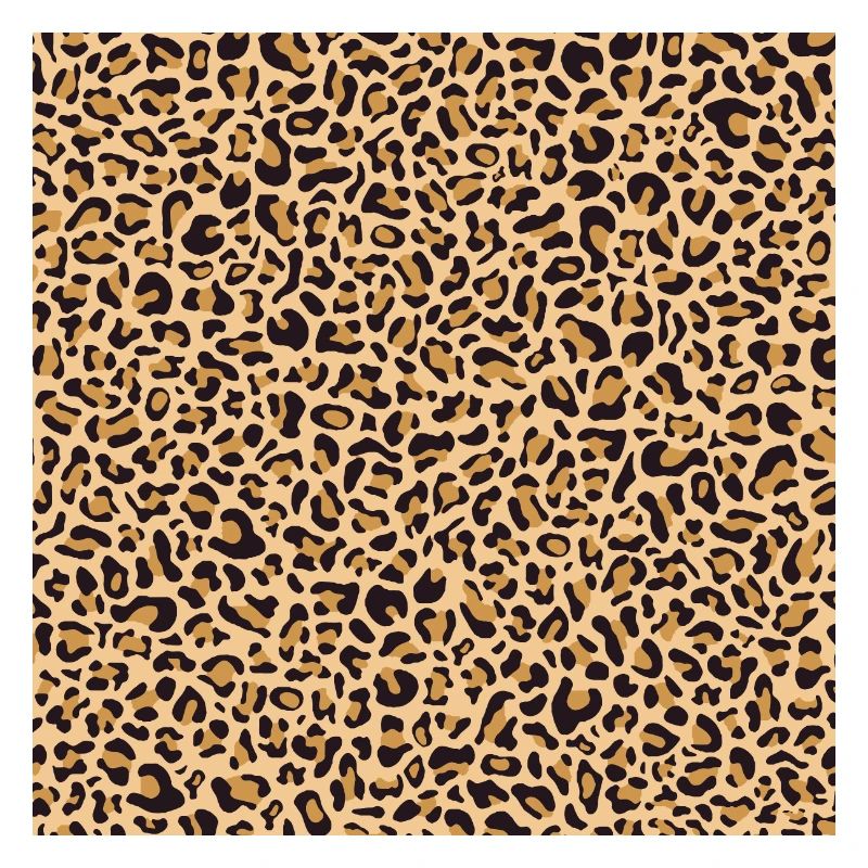 Leopard Pattern | Leopard Print | African Animal