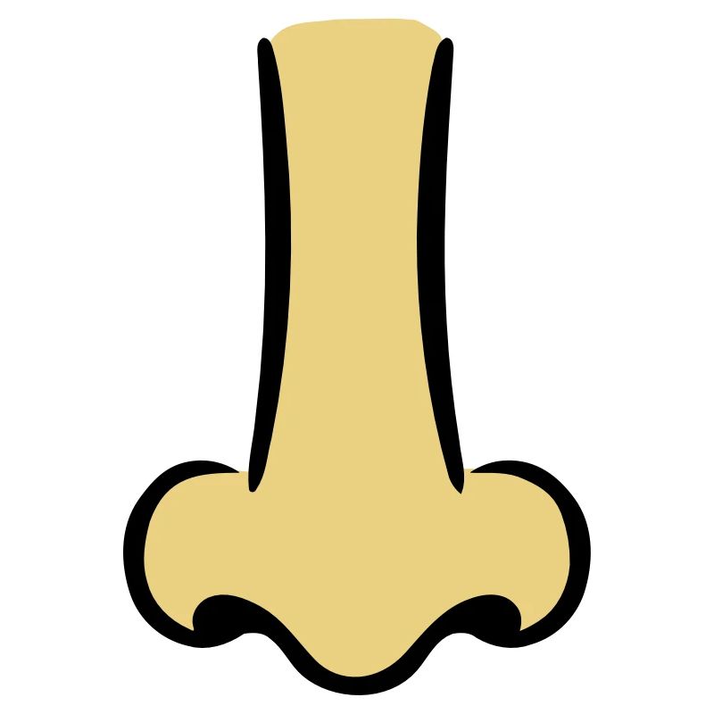 Nose