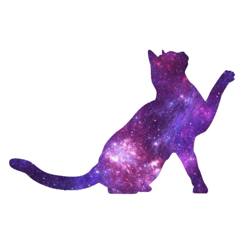 Chat de l’espace