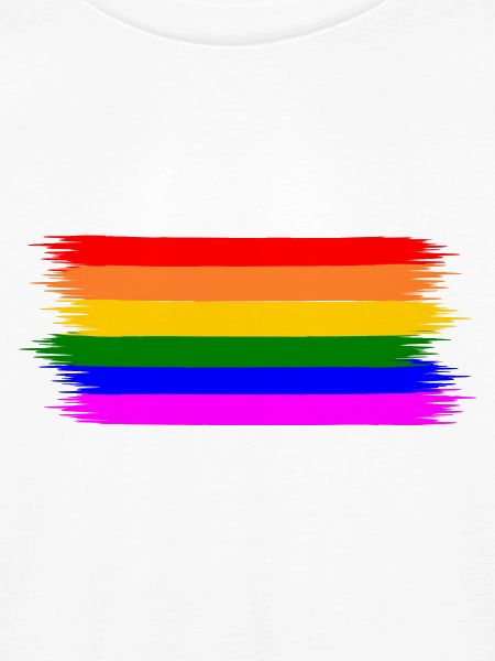 Regenbogen Regenbogenfahne