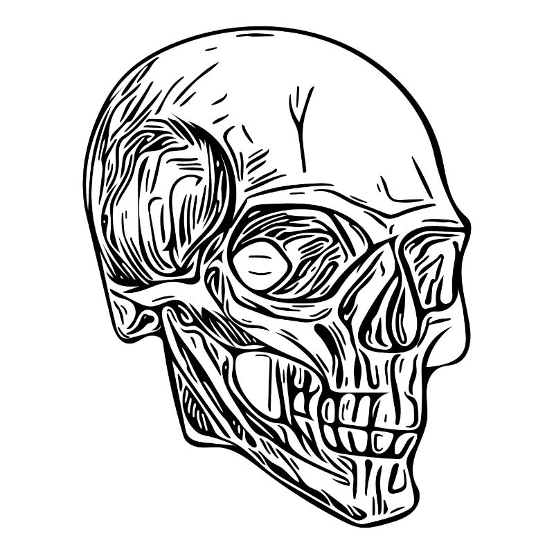Skull Bone Halloween Skull