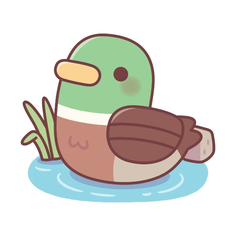 Canard colvert mignon nageant dans l’étang