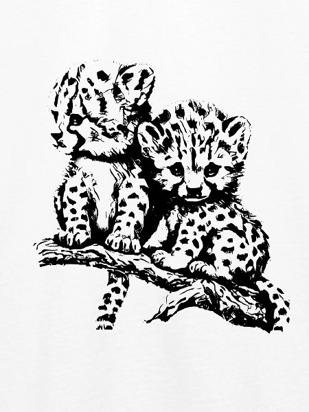 Gepard