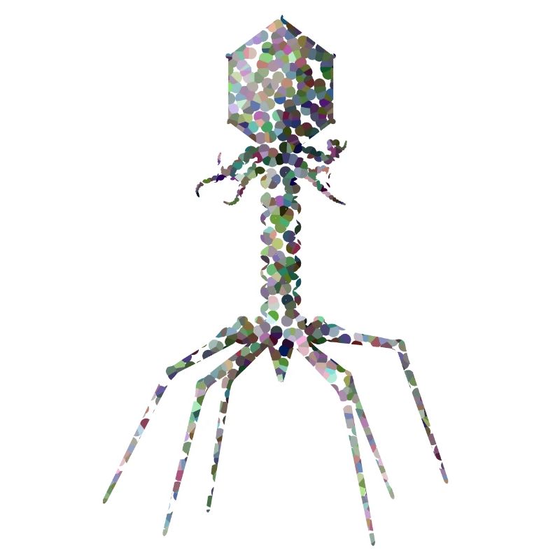 Bactériophage