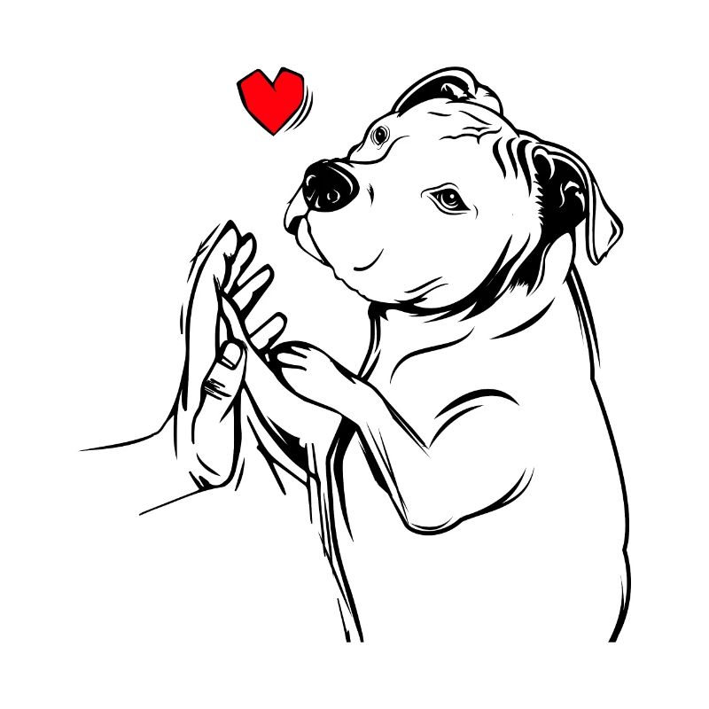 Pit bull