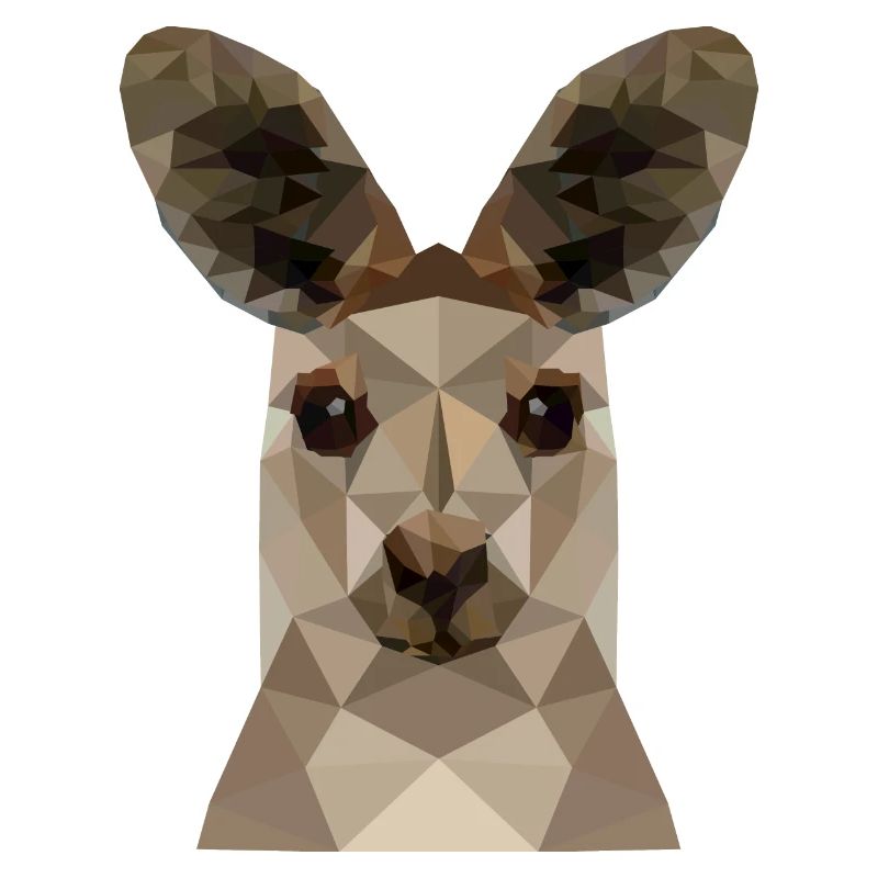 kangaroo