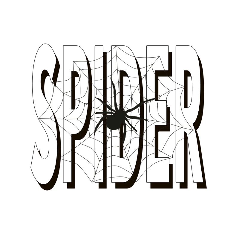 Spider Araignée Araignée Toile