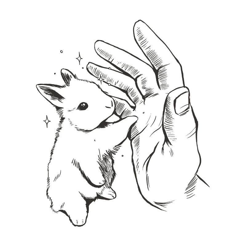 HQshirts Rabbit Love Tender