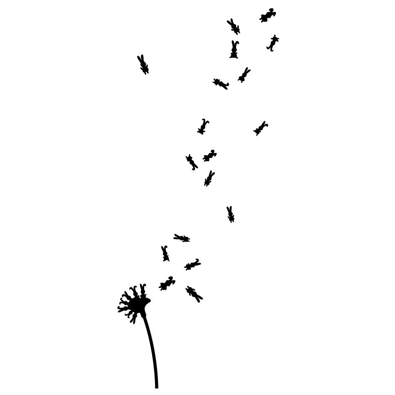 Dandelion hare rabbit bunnies bunny dandelion
