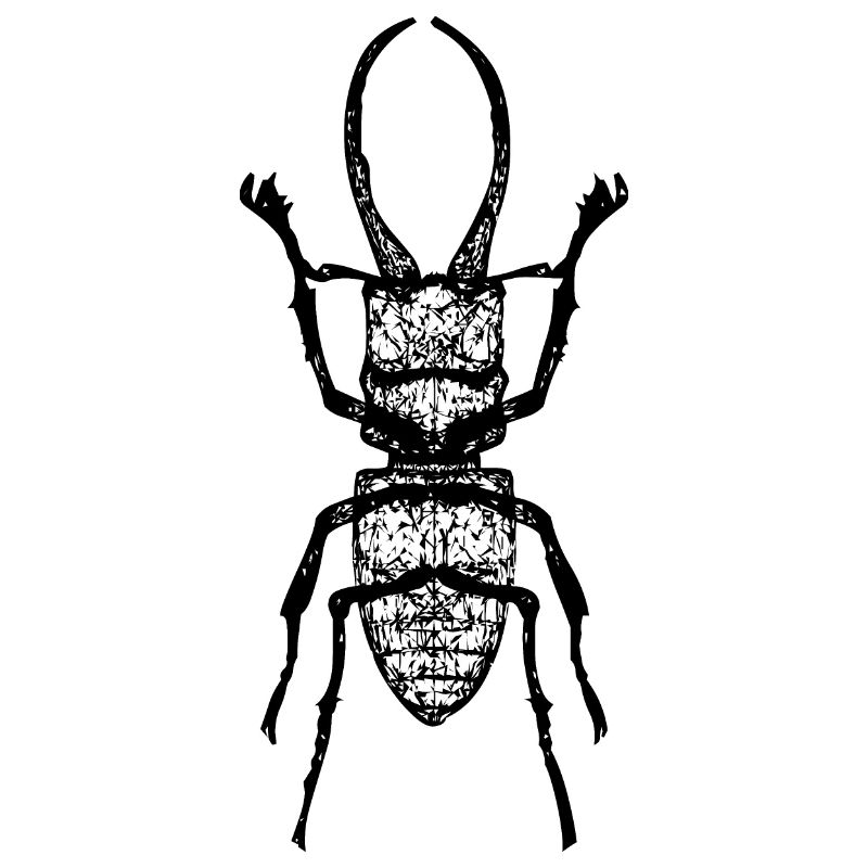 Hirschkäfer - stag beetle