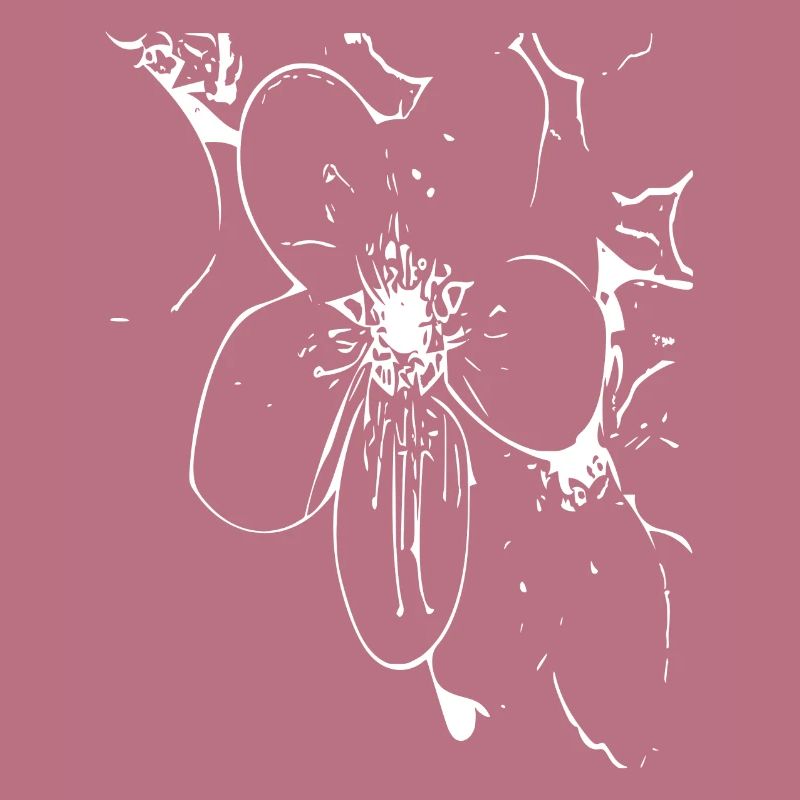 Abstract Flower / Line / Pattern / Nature / White
