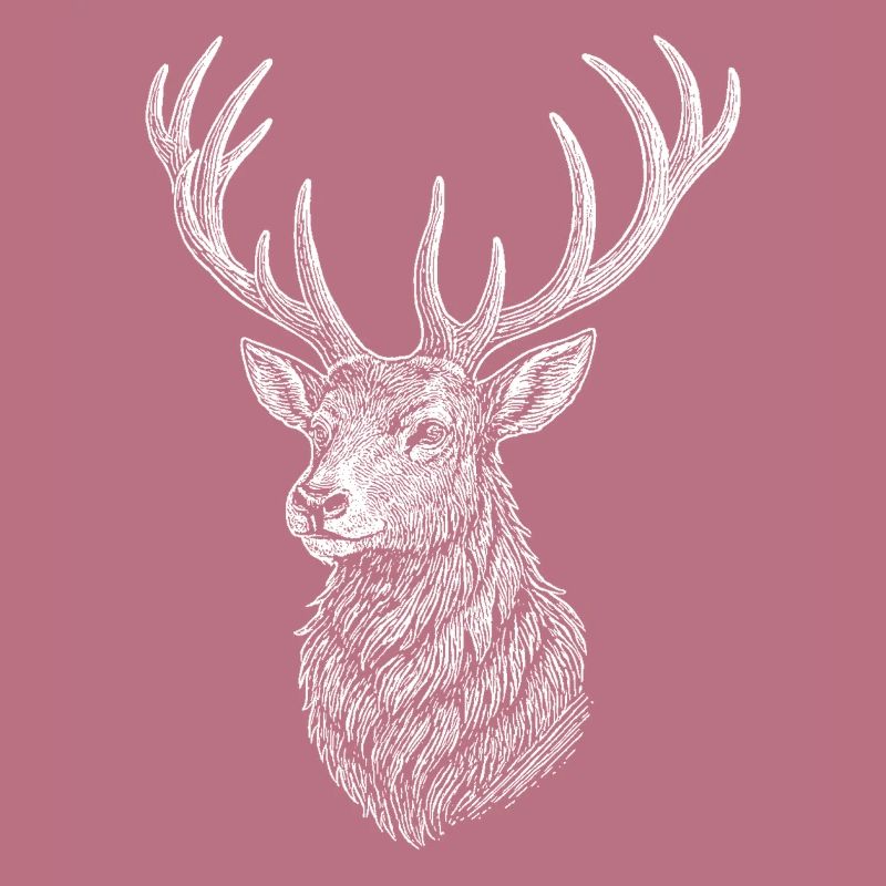Hirsch