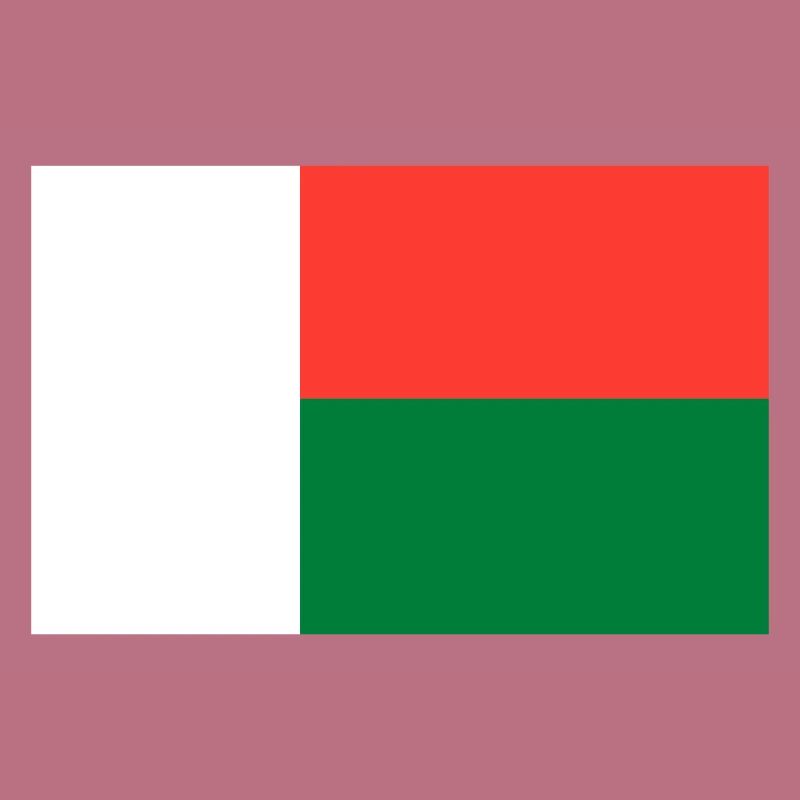 Drapeau de Madagascar