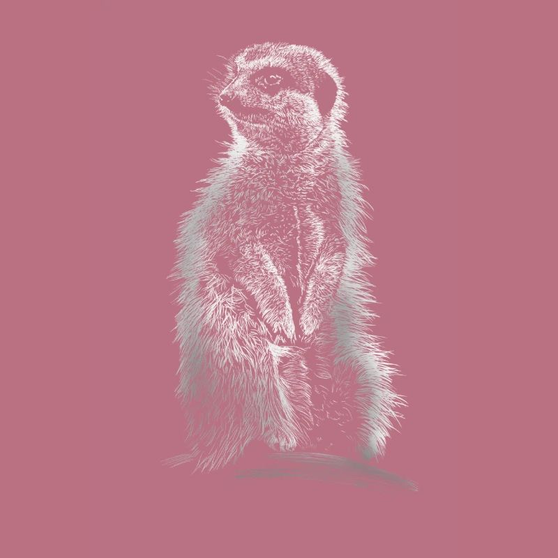 suricates