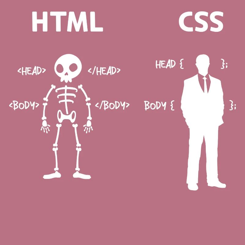 Code Css C++ Php Java Développeur Code Scripting