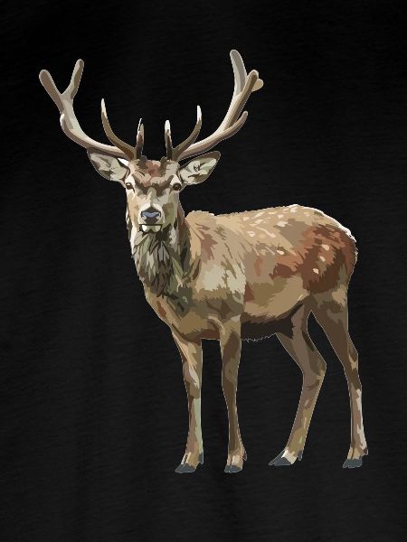 Hirsche Hirsch