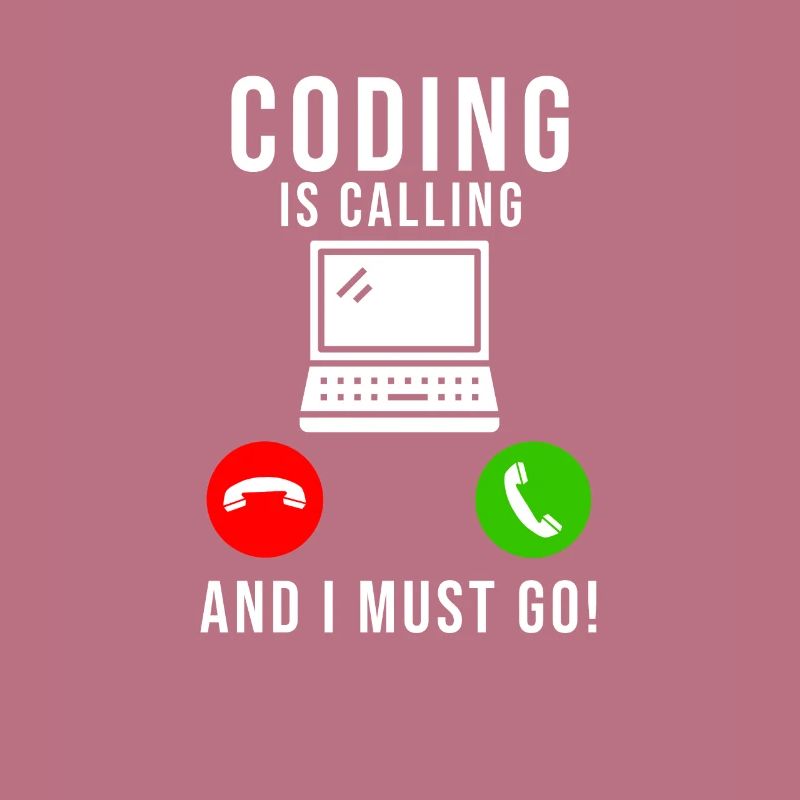 Programmeur Codage Développeur Informatique