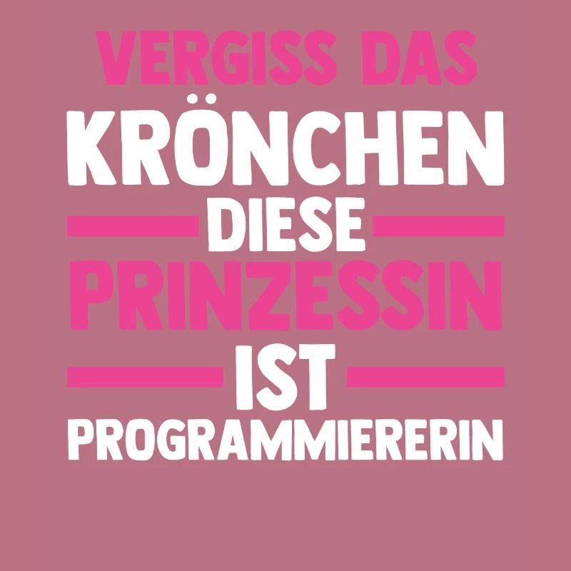Programmieren Entwickler Prinzessin Programmierer